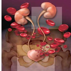 ΑΙΜΑΤΟΥΡΙΑ